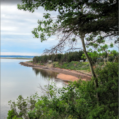 Wallace Shoreline & Ocean